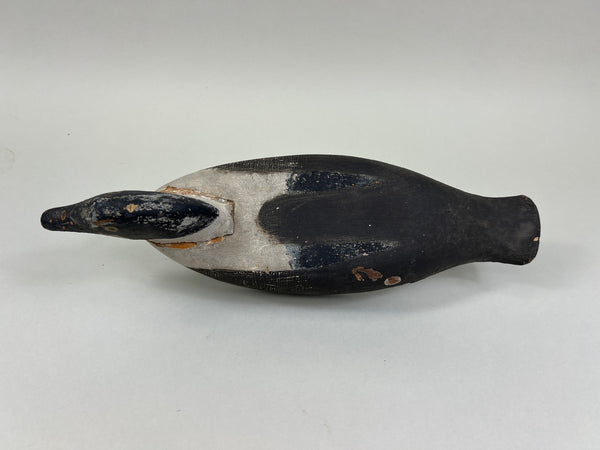 Cape Vincent Golden Eye Drake, Circa 1900 (#5251)