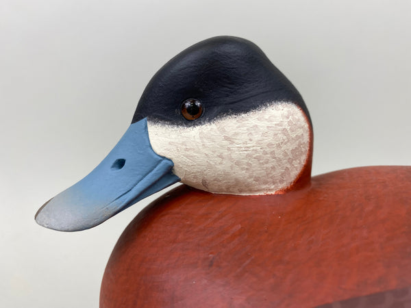 Frederick "Rick" Brown Ruddy Duck (#7183)