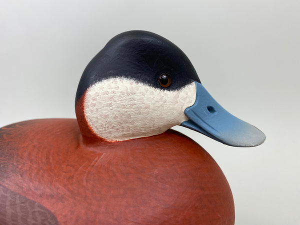 Frederick "Rick" Brown Ruddy Duck (#7183)