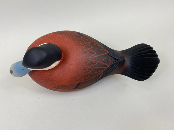Frederick "Rick" Brown Ruddy Duck (#7183)