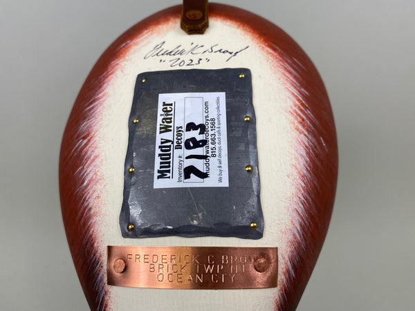 Frederick "Rick" Brown Ruddy Duck (#7183)