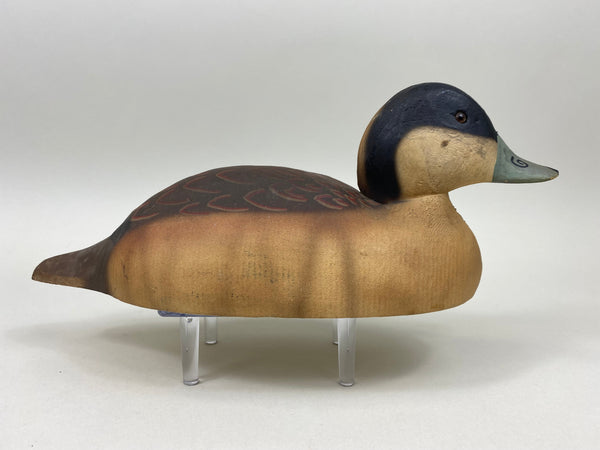 Herters 1893 Series Ruddy Duck (#7469)