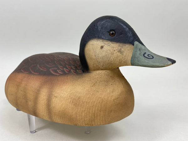 Herters 1893 Series Ruddy Duck (#7469)