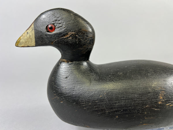 Pratt Factory Coot (#8028)