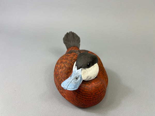 Mike & Nancy Scherer Turned Head Ruddy Duck (#8449)