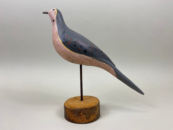 John Paxson Mourning Dove (#5324)