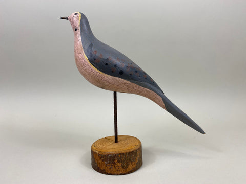 John Paxson Mourning Dove (#5324)