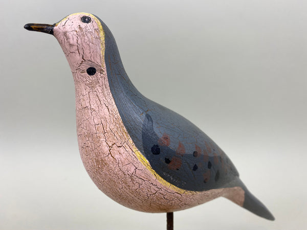 John Paxson Mourning Dove (#5324)