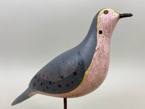 John Paxson Mourning Dove (#5324)