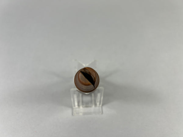 Cro-Tone Crow Call with Good Label (#T140)