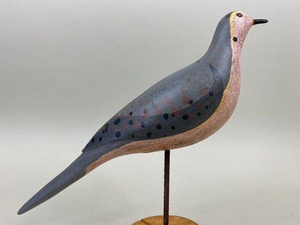 John Paxson Mourning Dove (#5324)
