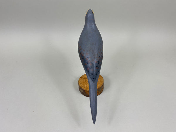 John Paxson Mourning Dove (#5324)