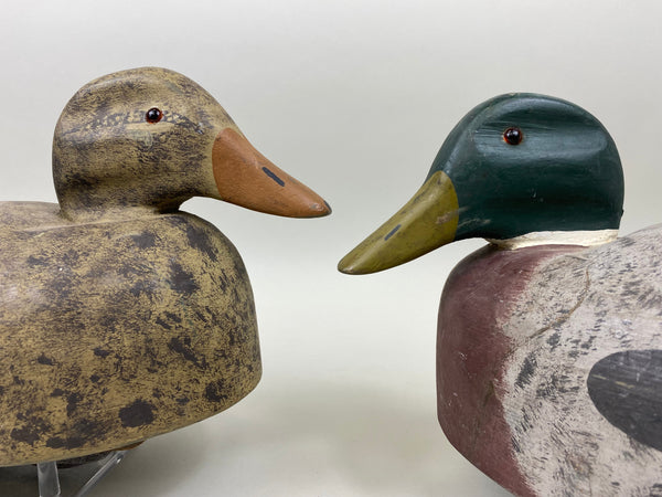 Pair Unknown Wisconsin Mallards (#5179)