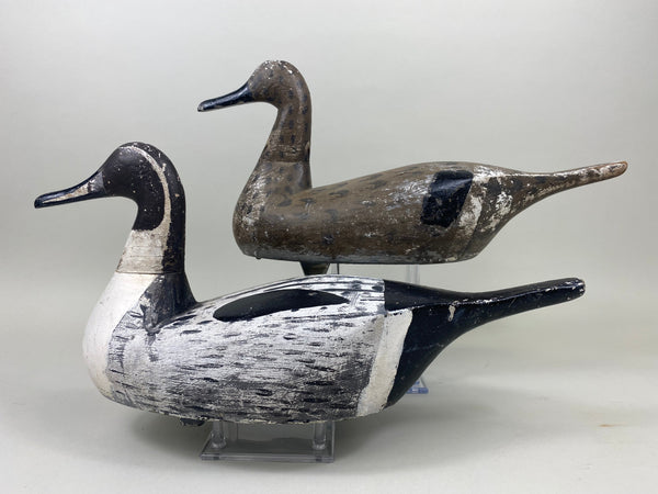 Pair Seth Barry Pintails (#5079)