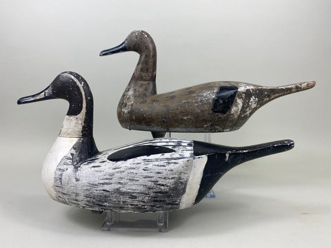 Pair Seth Barry Pintails (#5079)