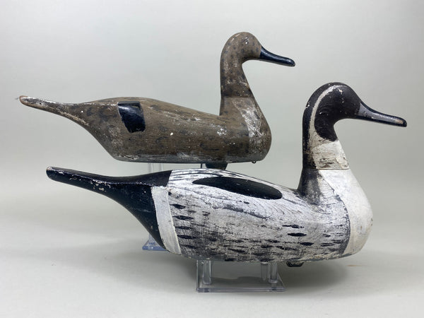 Pair Seth Barry Pintails (#5079)
