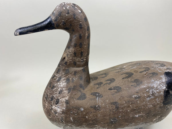 Pair Seth Barry Pintails (#5079)