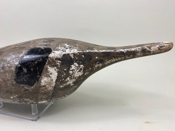 Pair Seth Barry Pintails (#5079)