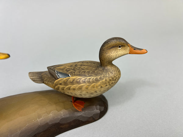 George Strunk Pair of Mini Mallards on Carved Wood (#5068)