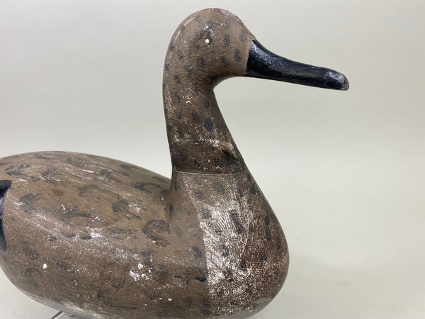 Pair Seth Barry Pintails (#5079)