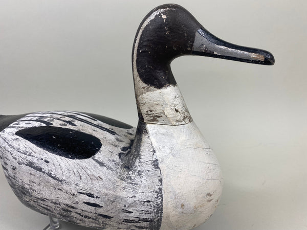 Pair Seth Barry Pintails (#5079)