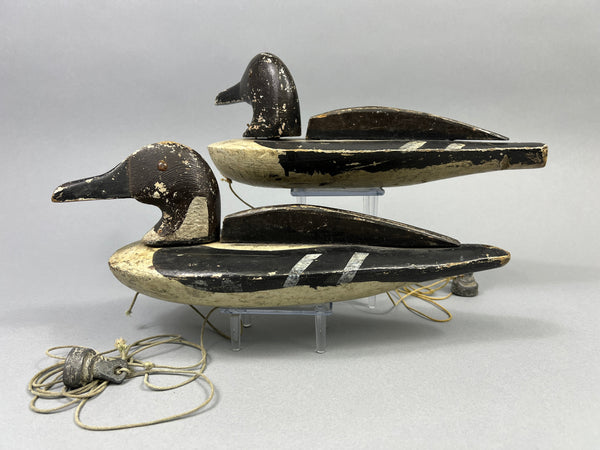Folky Pair of Unknown Wisconsin Pintails (#3944)