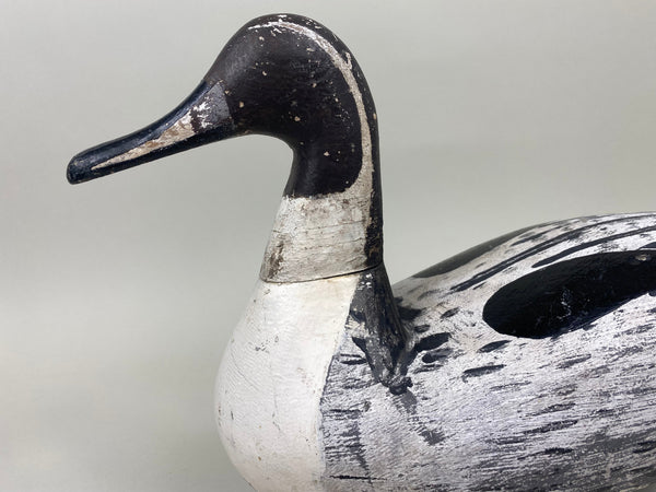 Pair Seth Barry Pintails (#5079)