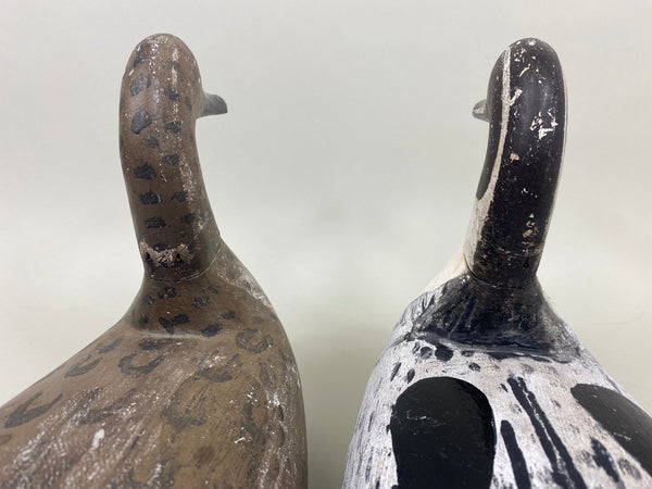 Pair Seth Barry Pintails (#5079)
