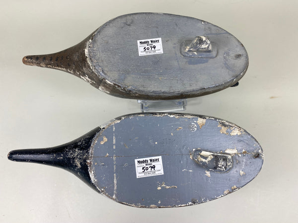 Pair Seth Barry Pintails (#5079)