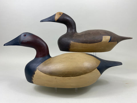 Moak Style Canvasback Pair by Bud Bergman (#5175)