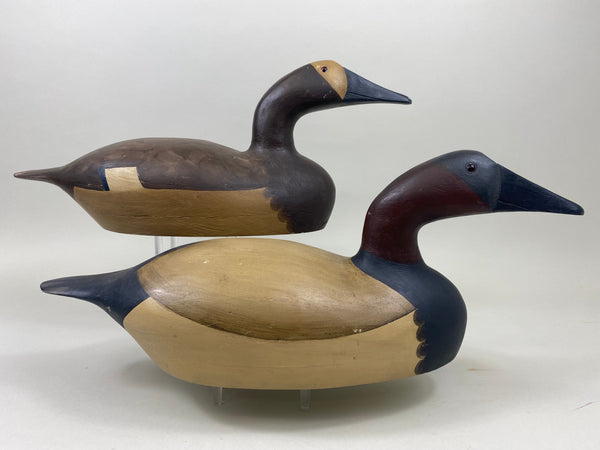 Moak Style Canvasback Pair by Bud Bergman (#5175)
