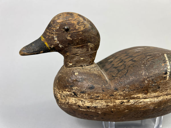 Unknown Illinois River Teal Drake (#1070)