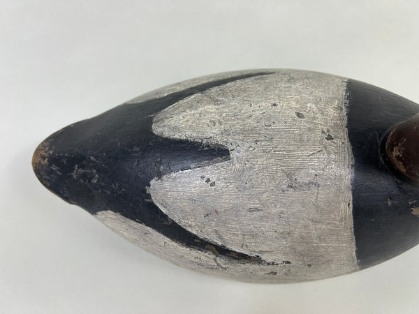 John R. Wells Canvasback Drake, Circa 1920's (#4703)