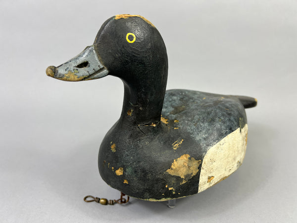 Hector Desmarais High Headed Blue Bill (#5289)