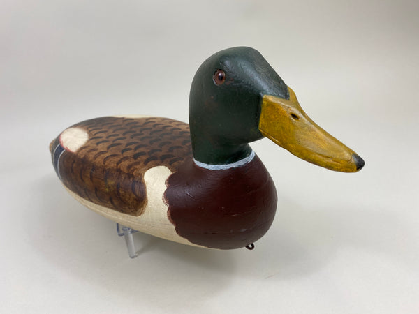 Robert Elliston Mallard Drake, restored by Jim Freeman (#10021)