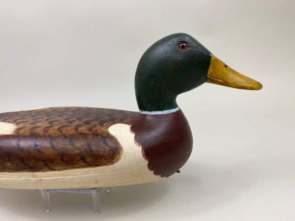 Robert Elliston Mallard Drake, restored by Jim Freeman (#10021)
