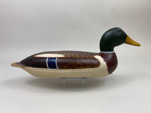 Robert Elliston Mallard Drake, restored by Jim Freeman (#10021)