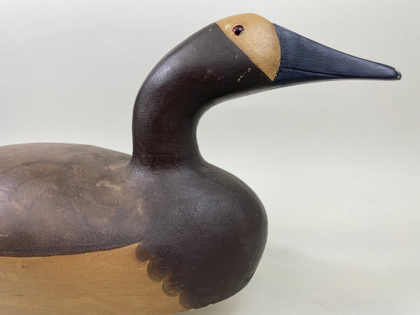 Moak Style Canvasback Pair by Bud Bergman (#5175)