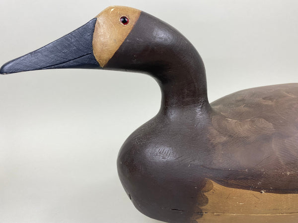 Moak Style Canvasback Pair by Bud Bergman (#5175)