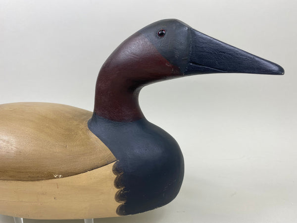 Moak Style Canvasback Pair by Bud Bergman (#5175)