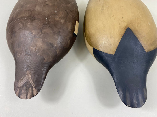 Moak Style Canvasback Pair by Bud Bergman (#5175)