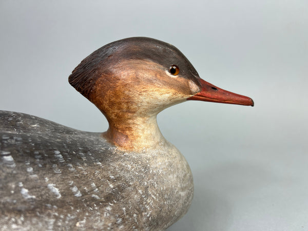 Peter Valkavich, Sr.  Red Breasted Merganser Hen (#2111)