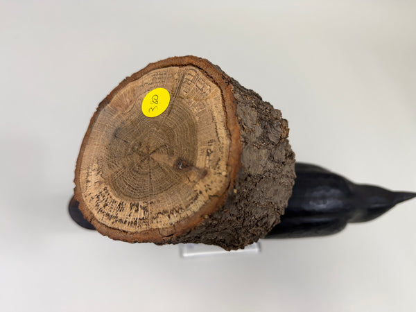 Raymond Shumaker Carved Crow (#380)