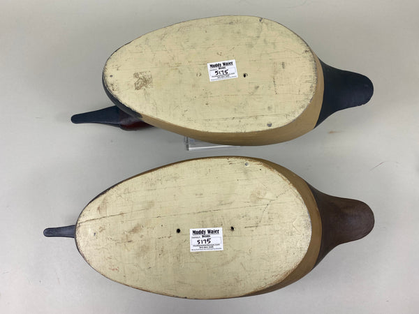 Moak Style Canvasback Pair by Bud Bergman (#5175)