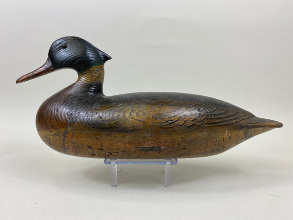 Tony Zullo, Perdew Style Red Breasted Merganser (#1147)