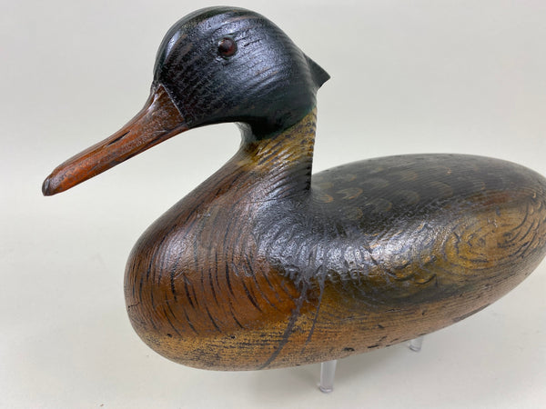 Tony Zullo, Perdew Style Red Breasted Merganser (#1147)