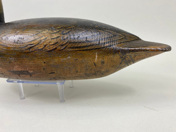 Tony Zullo, Perdew Style Red Breasted Merganser (#1147)