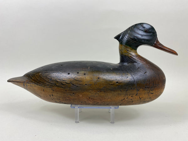 Tony Zullo, Perdew Style Red Breasted Merganser (#1147)