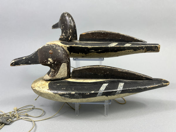 Folky Pair of Unknown Wisconsin Pintails (#3944)
