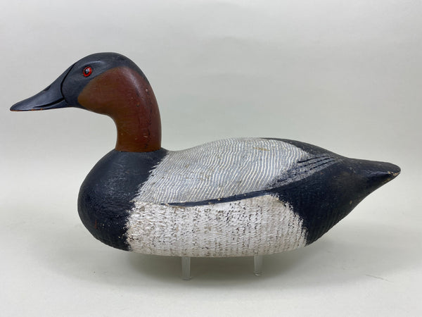 Factory Canvasback (#1549)